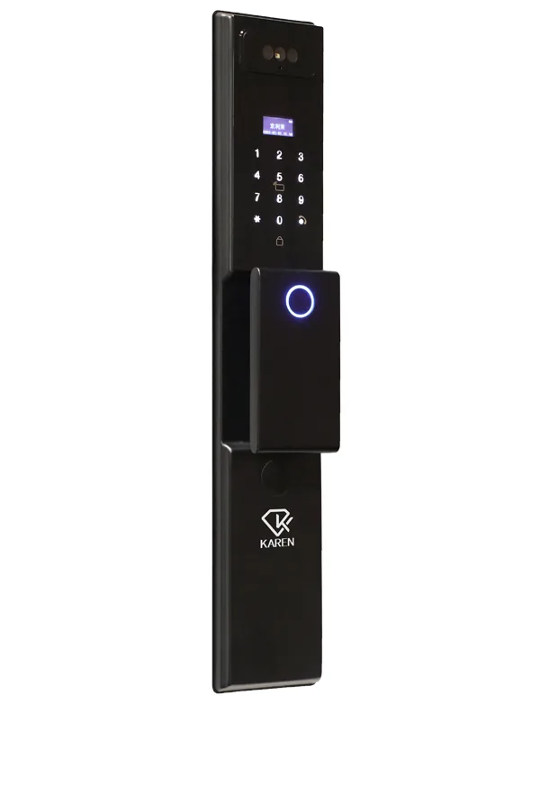 قفل دیجیتال تشخیص چهره کارن E200