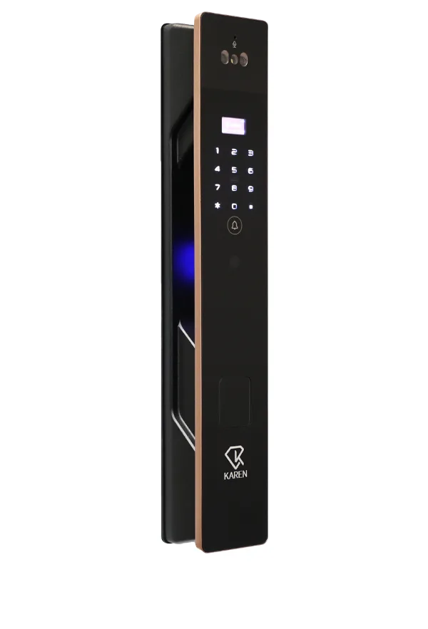 دستگیره دیجیتال تشخیص چهره کارن M100